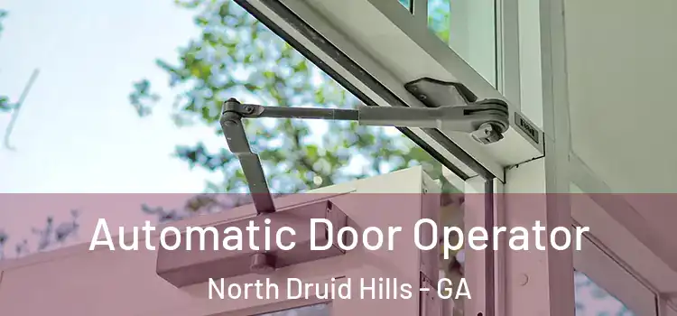  Automatic Door Operator North Druid Hills - GA