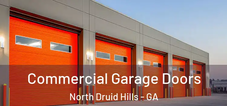  Commercial Garage Doors North Druid Hills - GA