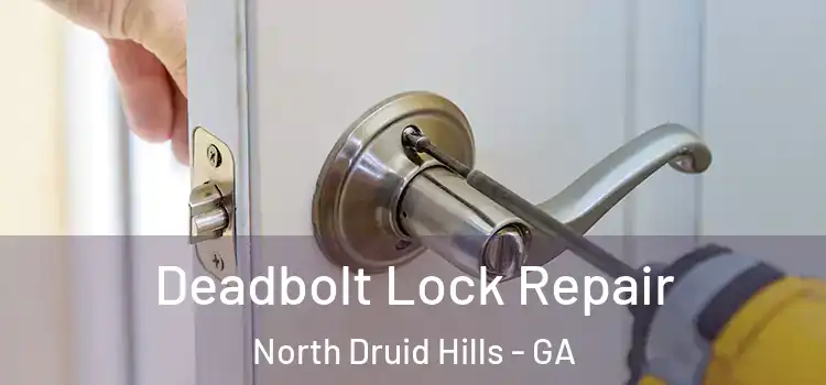 Deadbolt Lock Repair North Druid Hills - GA