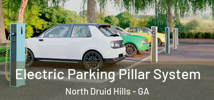 Electric Parking Pillar System North Druid Hills - GA