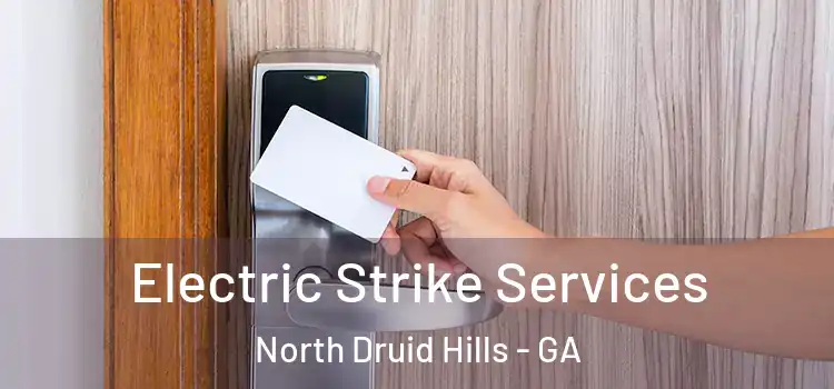  Electric Strike Services North Druid Hills - GA