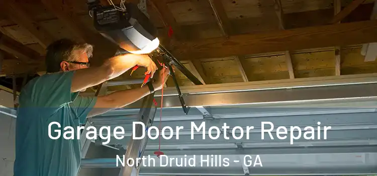  Garage Door Motor Repair North Druid Hills - GA