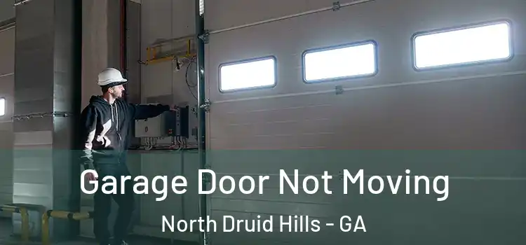  Garage Door Not Moving North Druid Hills - GA
