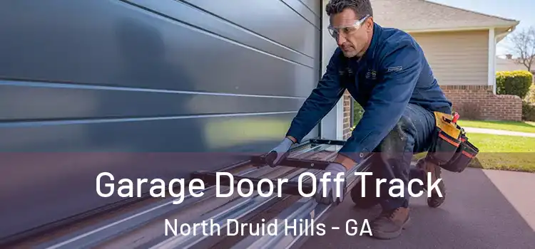  Garage Door Off Track North Druid Hills - GA