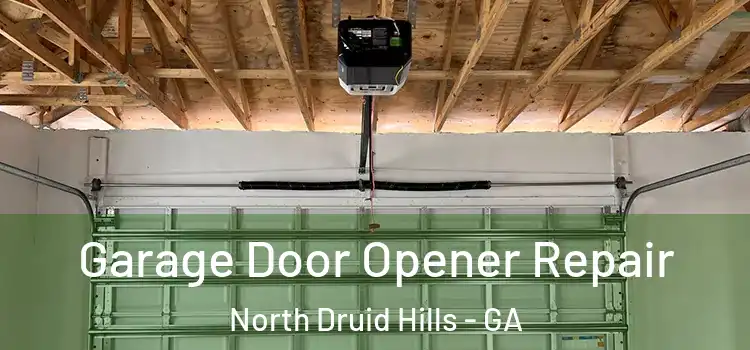  Garage Door Opener Repair North Druid Hills - GA