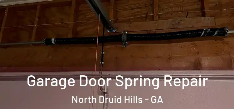  Garage Door Spring Repair North Druid Hills - GA