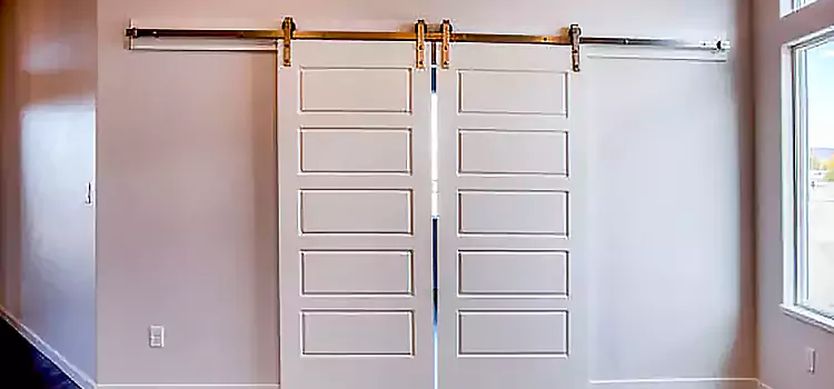 Glass Barn Door with Installation Hardware Kit North Druid Hills