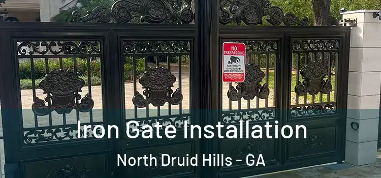  Iron Gate Installation North Druid Hills - GA