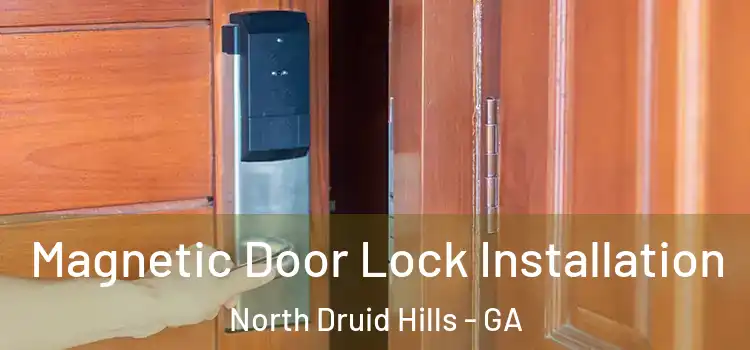  Magnetic Door Lock Installation North Druid Hills - GA