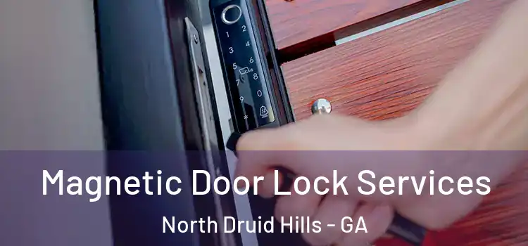  Magnetic Door Lock Services North Druid Hills - GA