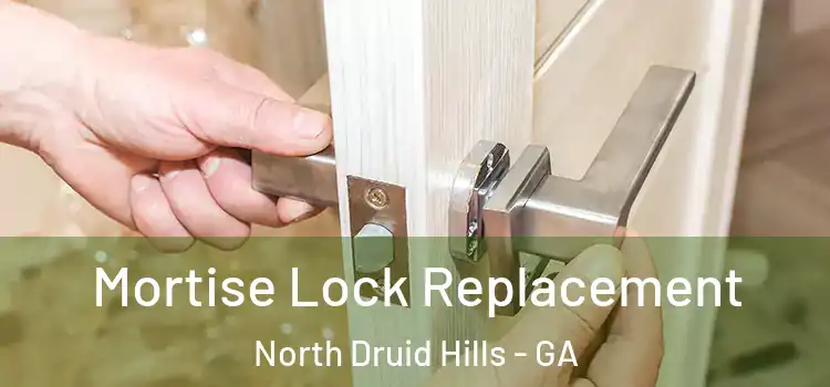  Mortise Lock Replacement North Druid Hills - GA