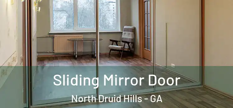 Sliding Mirror Door North Druid Hills - GA
